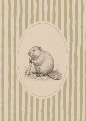 Image Not Available